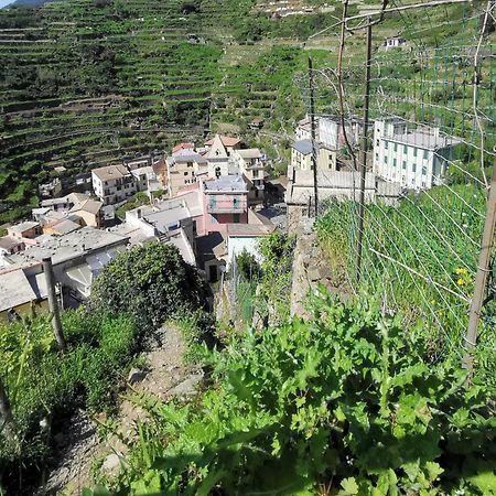 Sentieri Sul Mare Hotel Manarola Eksteriør billede